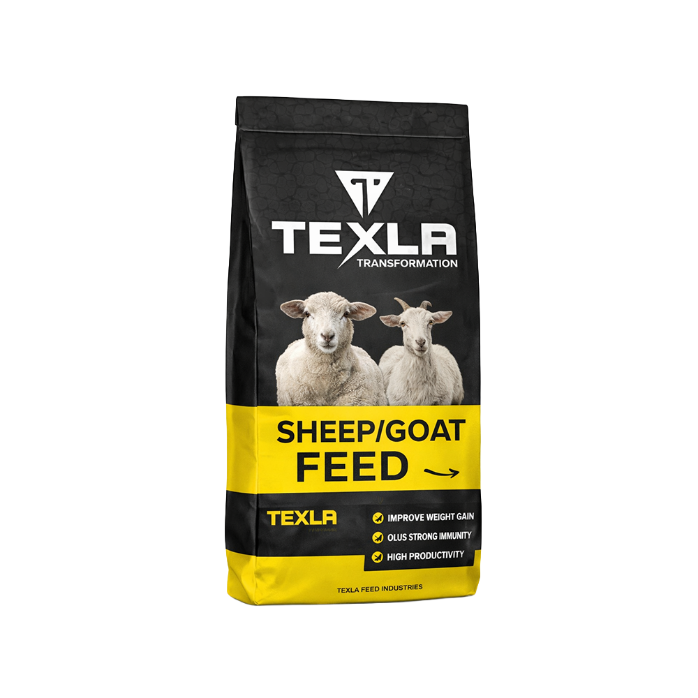 txla-product_0004_ChatGPT-Image-Mar-13,-2026,-05_50_08-PM